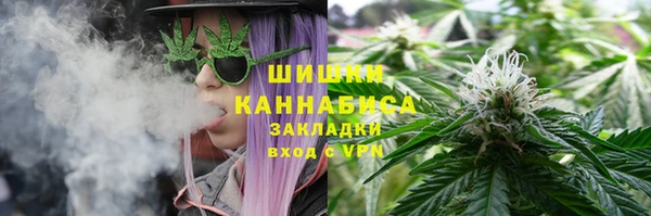 дурь Верхний Тагил